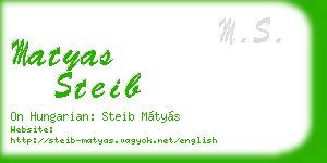 matyas steib business card